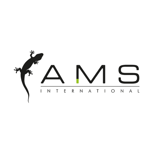 AMS International