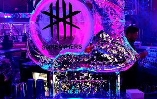 Six Feathers 3D Ice Sculpture