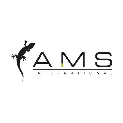 AMS International